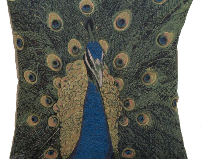 Peacock Tapestry Cushion Cover: French Birds Art Pillow (19x19 Square)
