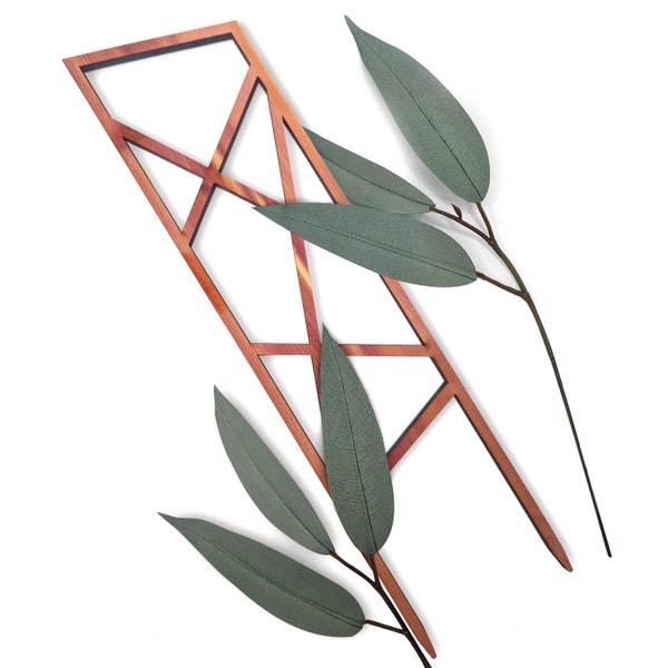 Angular Indoor Plant Trellis