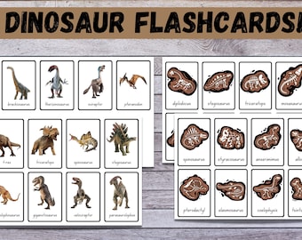 Cartes mémoire de dinosaures, matériaux Montessori imprimables, cartes mémoire pour tout-petits préscolaires à la maison, activités scientifiques pour enfants, imprimables scientifiques