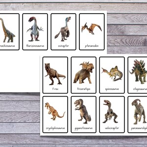 Dinosaurs Flashcards Printable Montessori Materials - Etsy Australia