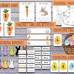 May include: A set of printable Easter-themed educational activities for kids. The activities include alphabet cards, tracing and labeling activities, color matching bunnies, counting eggs, and counting cards.