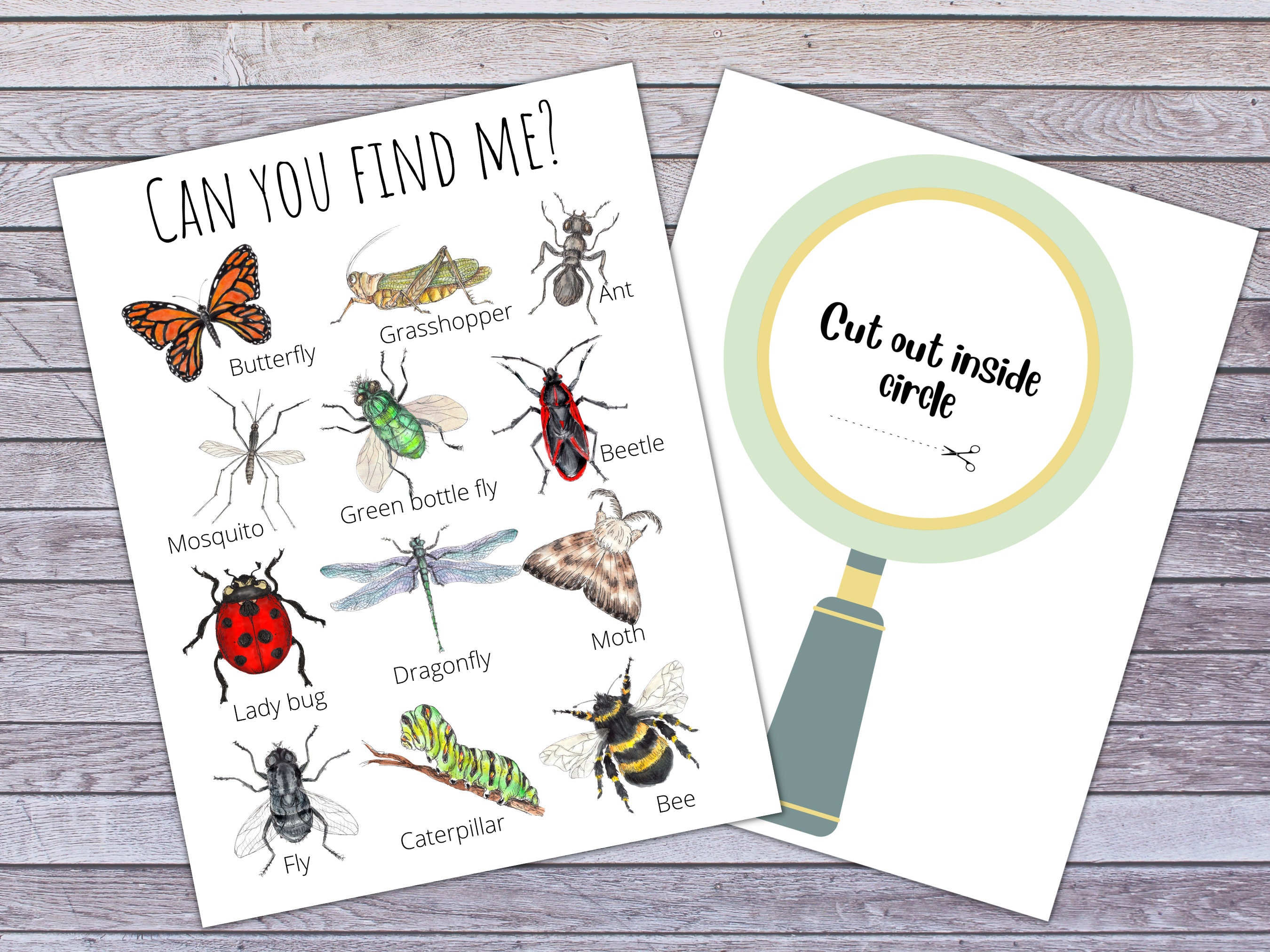 Insect & Bug Identifier: Nature Guide Finder (digital Download) - Etsy