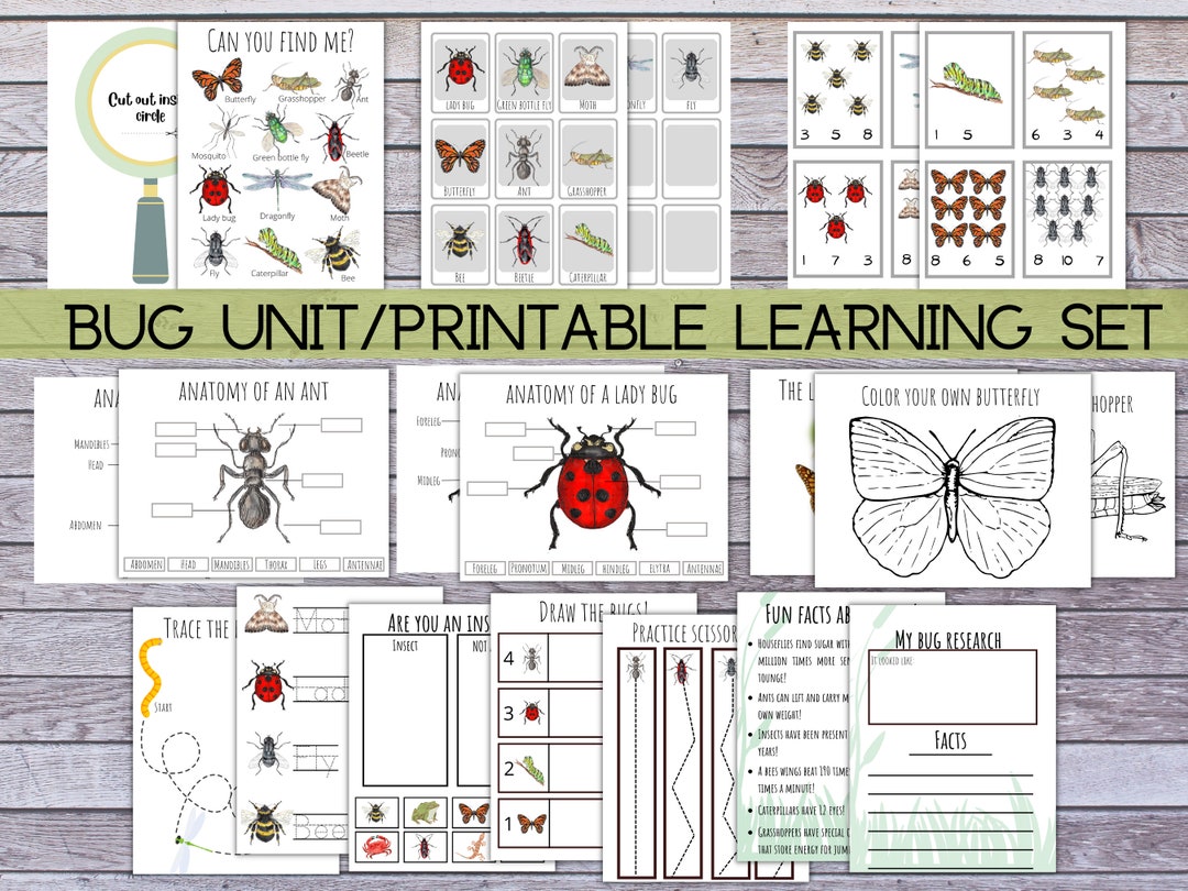 Insect Science Unit Digital Download and Printable Learning