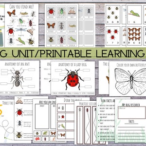 Insect learning bundle, prek/kindergarten Bug worksheets, Printable science projects,  Printable homeschool curriculum, montessori Printable