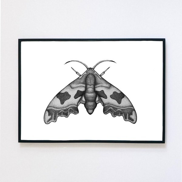 Original Lime Hawk-Moth Stippling Illustration