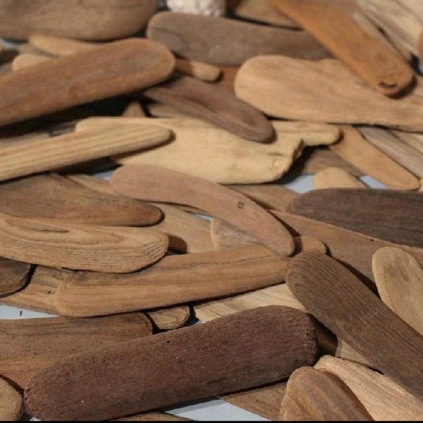Flat Driftwood from Lake Erie, 30-40 pieces, 5-12 inches