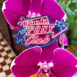 May include: A vibrant close-up of a pink orchid with white-edged petals. A patch with the words "Pink Pony Club" in red and blue is attached to the flower. The background includes a brown cabinet and green plants.