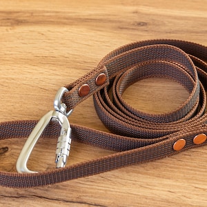 Può includere: Un guinzaglio per cani in nylon intrecciato marrone dotato di un moschettone in metallo argentato con meccanismo di bloccaggio. Il cinturino è fissato con due rivetti color rame sull'impugnatura e altri due vicino all'attacco in metallo.