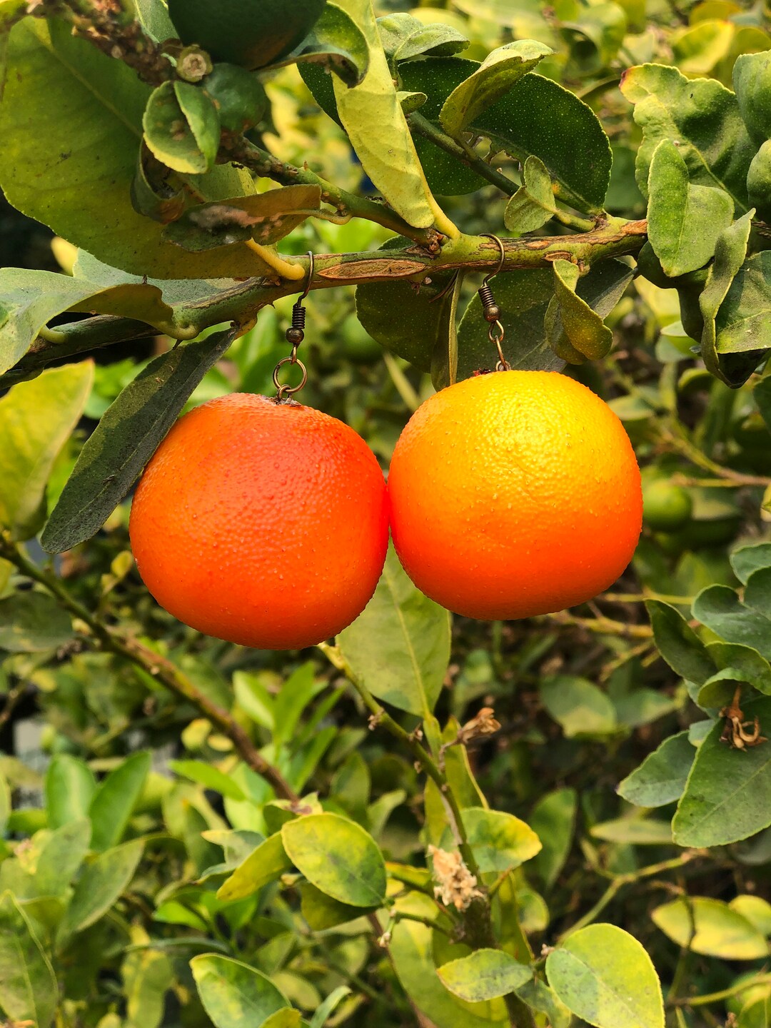 Big Juicy Orange Earrings Unique Earrings Quirky Earrings Etsy