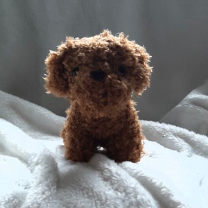 Cavapoo teddy clearance bear