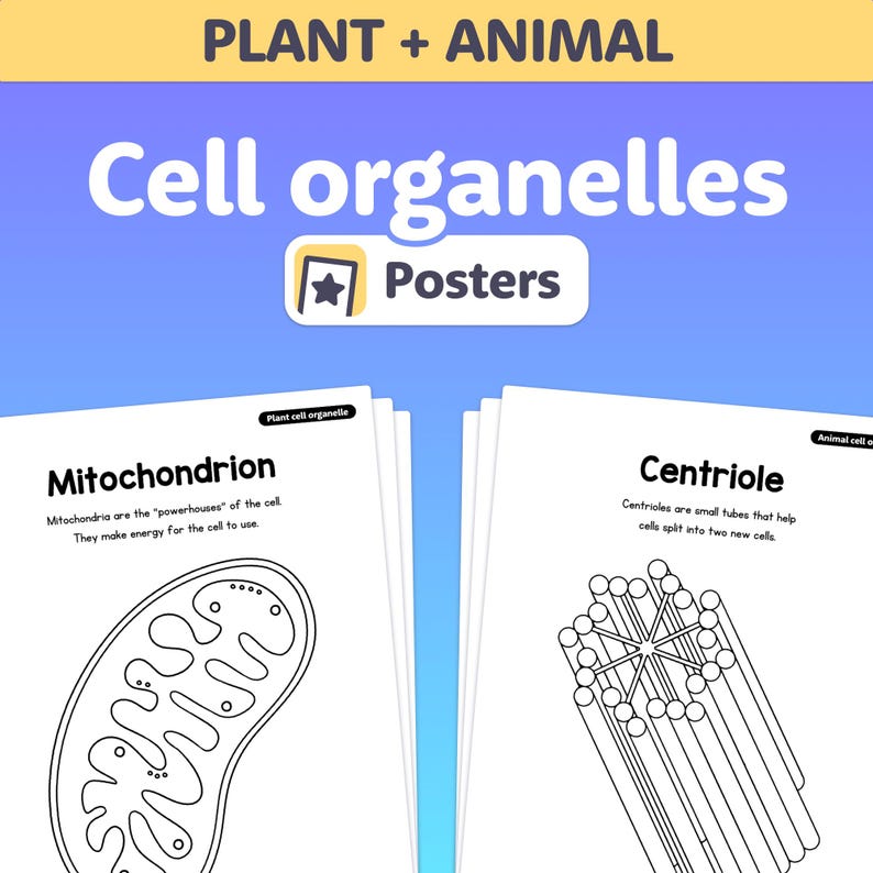 Plant and Animal Cell Organelle Posters, Upper Elementary Biology ...