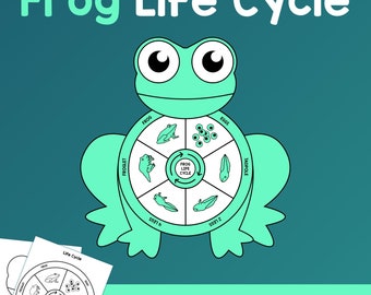 Life Cycle of a Frog Craft | Kindergarten, 1st, 2nd Grade Frog Life Cycle, Spring Bulletin Board Activity (Printable PDF)