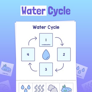 Water Cycle Activity | 1st, 2nd, 3rd Grade Water Cycle Worksheet – Precipitation, Collection, Evaporation, & Condensation (Printable PDF)