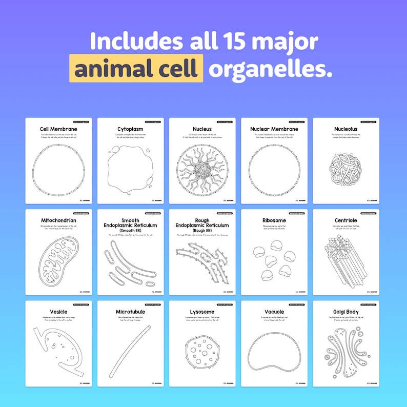 Plant and Animal Cell Organelle Posters, Upper Elementary Biology ...