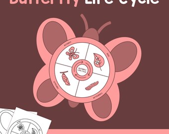 Manualidad sobre el ciclo de vida de una mariposa / Ciclo de vida de una mariposa, actividad para tablón de anuncios de ciencias para jardín de infantes, 1.º y 2.º grado (PDF imprimible)