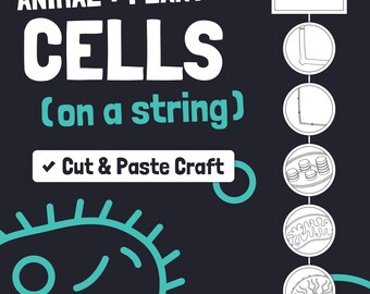 Ambachtelijke dierlijke en plantaardige cellen | Activiteit organellenstructuren en -functies voor basisschoolleerlingen en thuisonderwijs