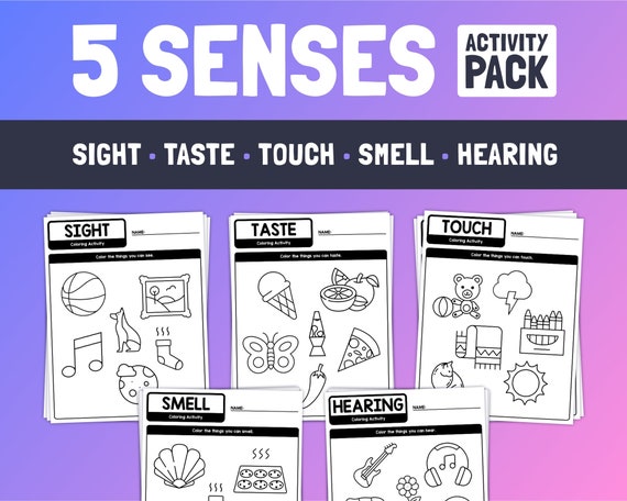 Five Senses Activities 5 Senses Worksheet Pack Kindergarten - Etsy