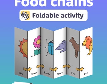 Foldable Food Chains Activity | Animal Ecosystems Craft & No Prep Science Project for 2nd, 3rd, 4th Grade, and Homeschool (Printable PDF)