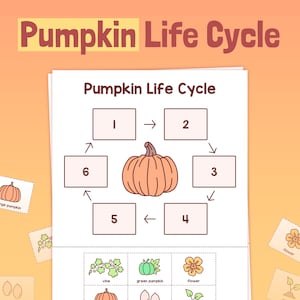 Fall Pumpkin Activity | 1st, 2nd, 3rd Grade Life Cycle of Pumpkins Worksheet, Autumn Science Worksheet (Printable PDF)