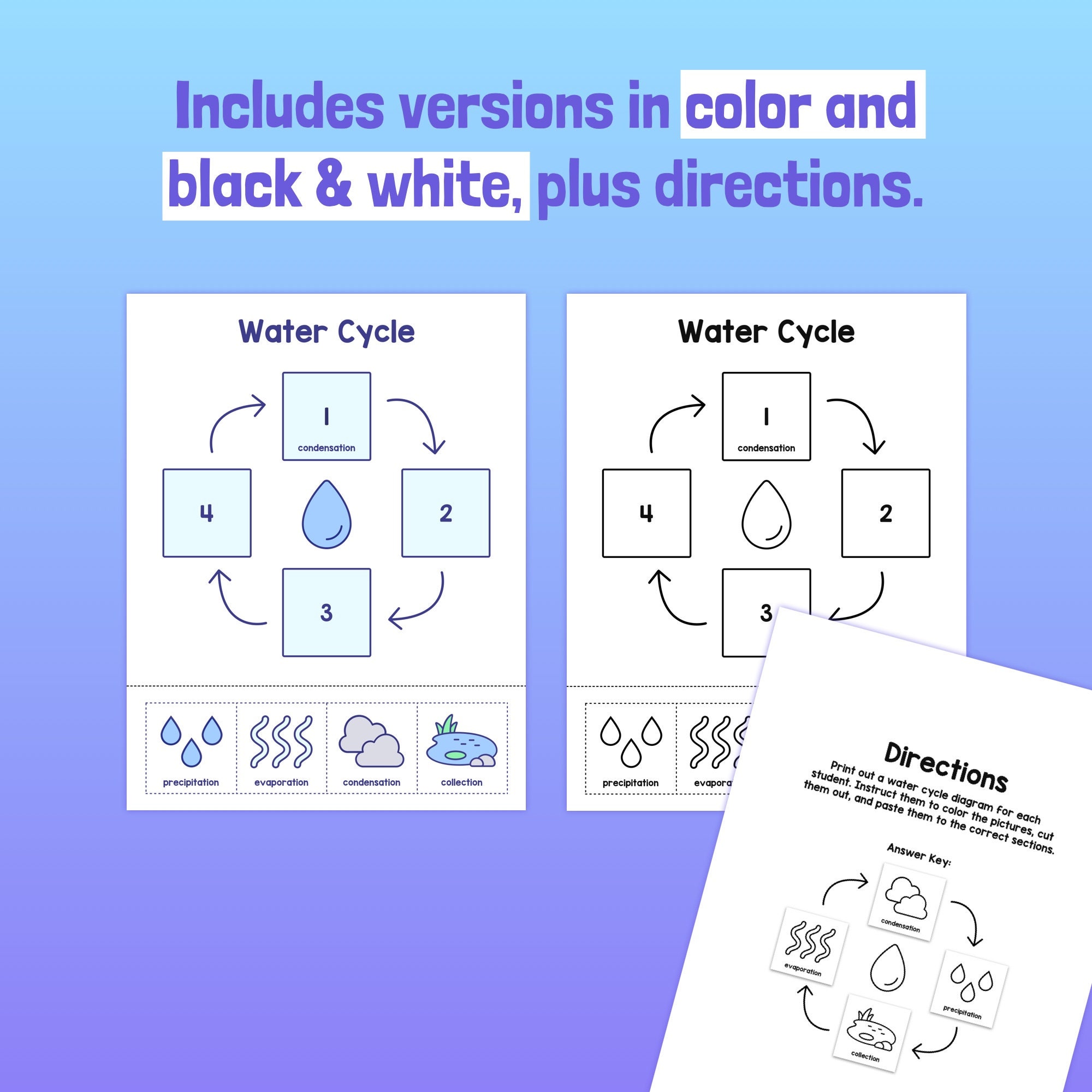 Water Cycle Activity 1st, 2nd, 3rd Grade Water Cycle Worksheet