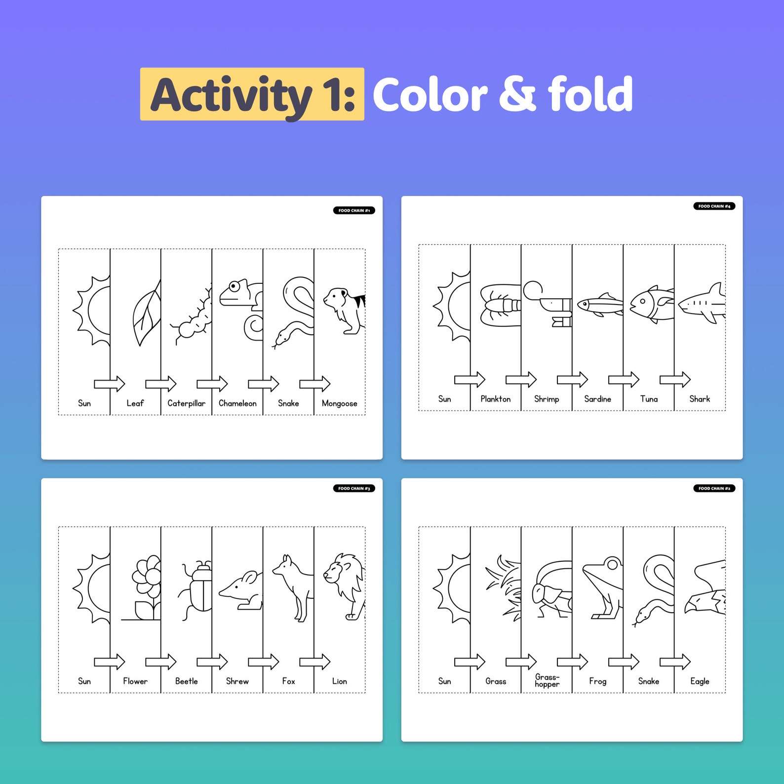 Foldable Food Chains Activity | Animal Ecosystems Craft & No Prep ...