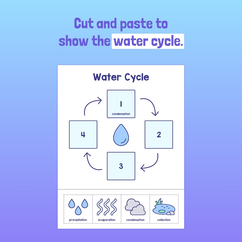 Water Cycle Activity 1st, 2nd, 3rd Grade Water Cycle Worksheet