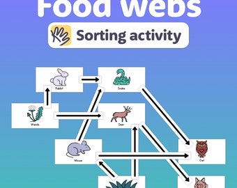 Food Webs Activity | 3rd, 4th, 5th Grade Ecosystems | Food Chains Science Center (Printable PDF)