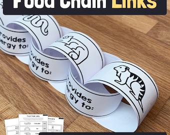 Food Chain Activity | 2nd, 3rd, 4th Grade Animal Ecosystem Food Chain Craft, No Prep Science Project (Printable PDF)
