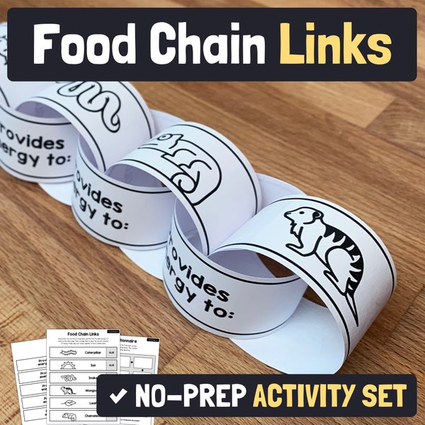 Food Chain Activity | 2nd, 3rd, 4th Grade Animal Ecosystem Food Chain Craft, No Prep Science Project (Printable PDF)