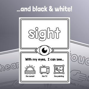 5 Senses Posters | K, 1st, 2nd Grade Five Senses Bulletin Board Decor ...