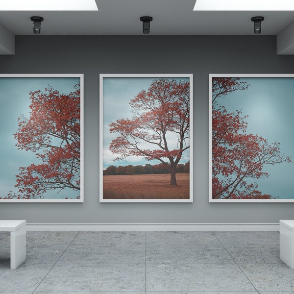 3er Set Herbstfarben Landschaft, Fotodrucke in hoher Qualität, Botanische Wandkunst, DIY Digitale Kunstdrucke, Herbstlandschaft Modernes Zuhause
