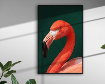 May include: Close-up of a pink flamingo's head and neck against a dark green background. The flamingo's eye is visible, and its beak is curved and pointed.