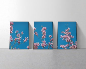 Set of 3 Blooming Magnolia Flower Photography Prints, Spring Blossoming Pink Cherry Trees with Blue Skies Wall Art Decor, Digital Art Poster