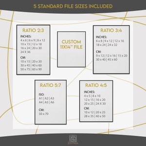 May include: A chart showing 5 standard file sizes for digital images, including inches and centimeters. The chart includes ratios of 2:3, 3:4, 5:7, and 4:5. The chart also includes a custom 11x14 inch file size.