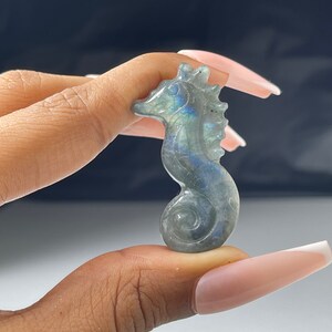 Labradorite Seahorse