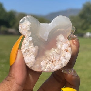 Flower Agate Bear