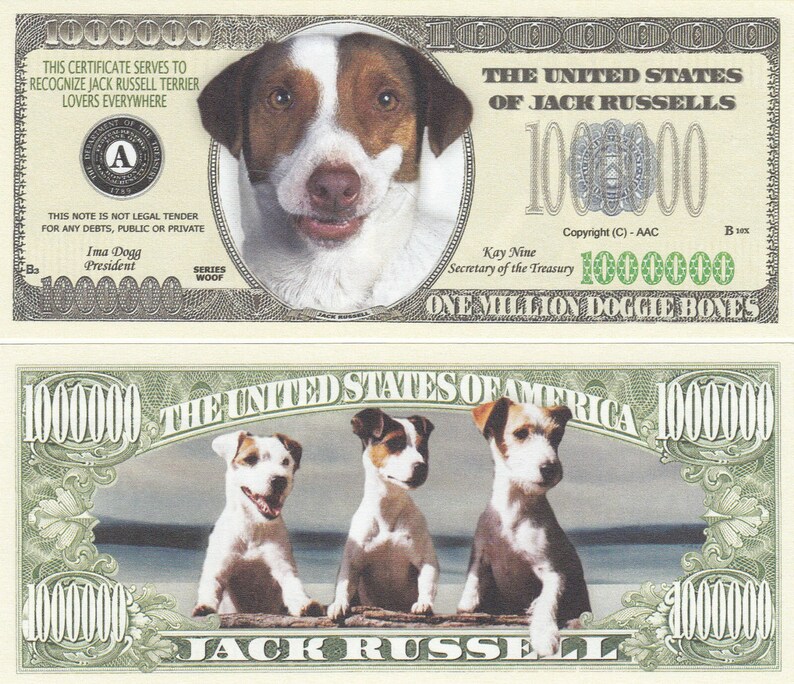 3 x 1 Million Fake Dollar Jack Russel Dogs