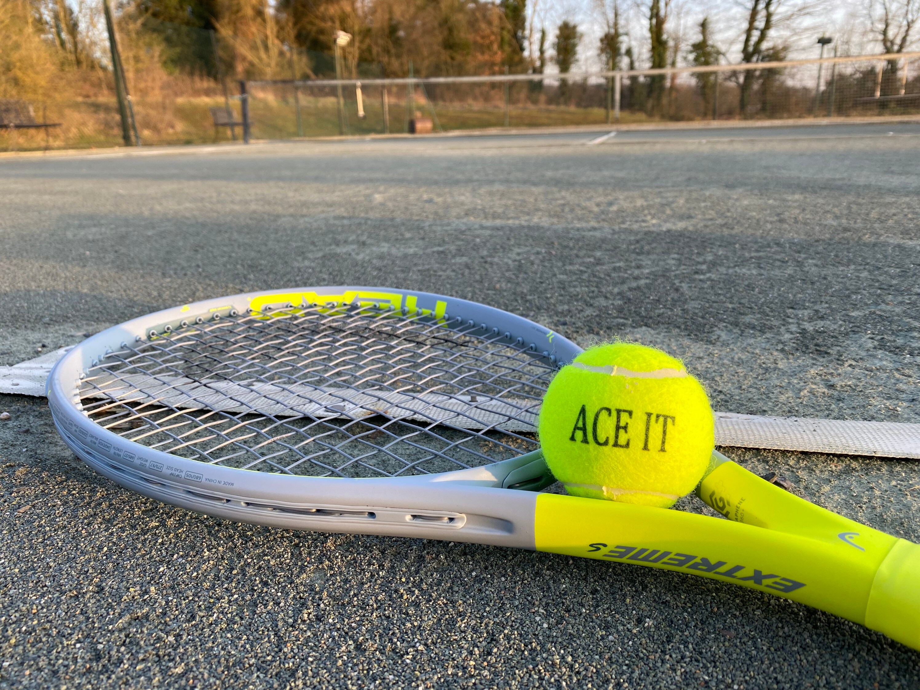 NTB Pelotas de tenis para adultos personalizables edición estándar