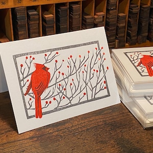 Winter Cardinal - Karten