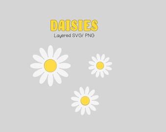 Download Daisies Daisy Etsy
