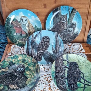 Vintage Five STATLEY OWLS SERIES by Artist Jim Beaudoin Collectors Plates by Edward M Knowles - Society for Prevention of Birds of Prey