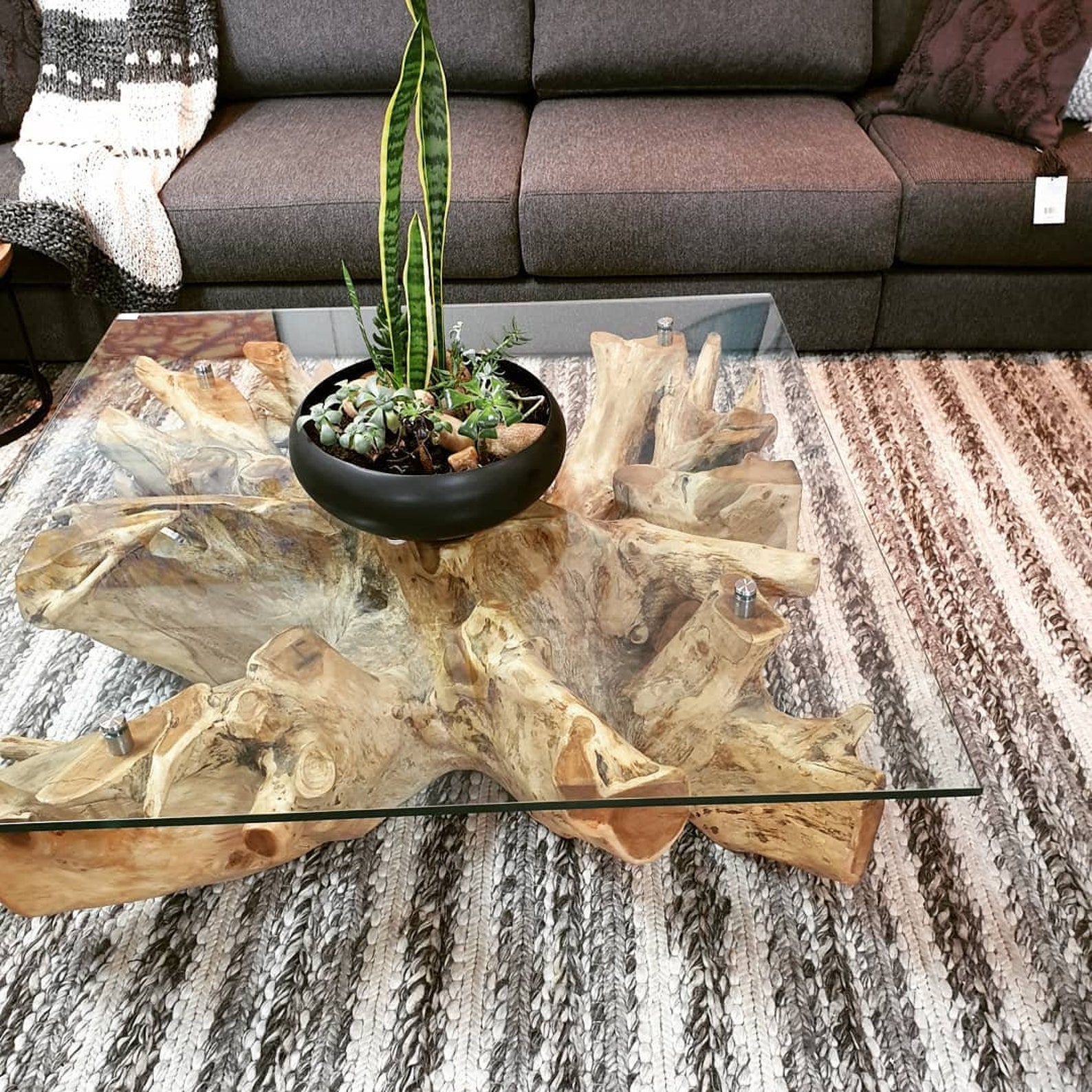 Rectangular Teak Root Coffee Table Teak Root Table Solid Etsy