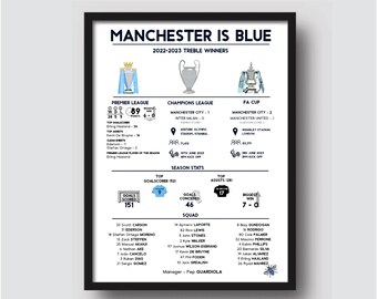 100 Manchester City Stickers Pack - Inspired By Shirt, Scarf, Badge & Flag Designs