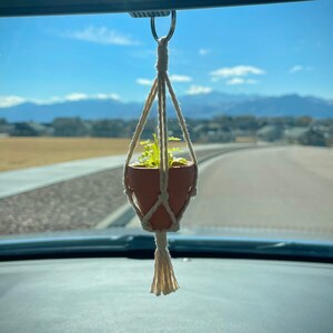 May include: A small potted plant hanging from the rearview mirror of a car. The plant is in a terracotta pot and is surrounded by a macrame hanger. The plant is green and the hanger is white.