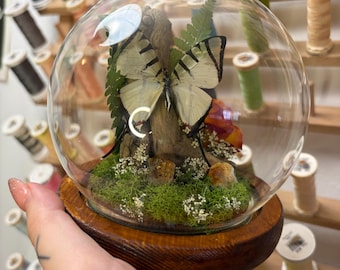 Butterfly Dome/Terrarium with Crystals