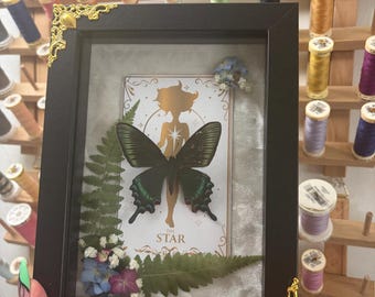 Alpin svart svalstjärt (Papilio maackii) med stjärntarotkortet