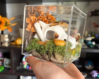 Terrario con cráneo de cubone y escarabajos de patas de rana - Diamantes de imitación