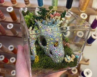 Kubisk skalle med grodbensbaggar Terrarium - Strass