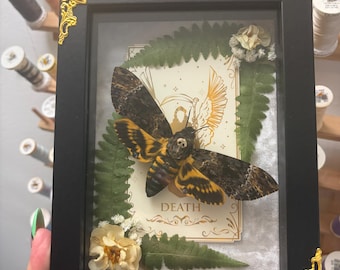 Mariposa-caveira (Acherontia atropos) emoldurada com carta de tarô e flores.