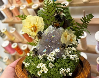 Cúpula/terrario para abejas con cristales